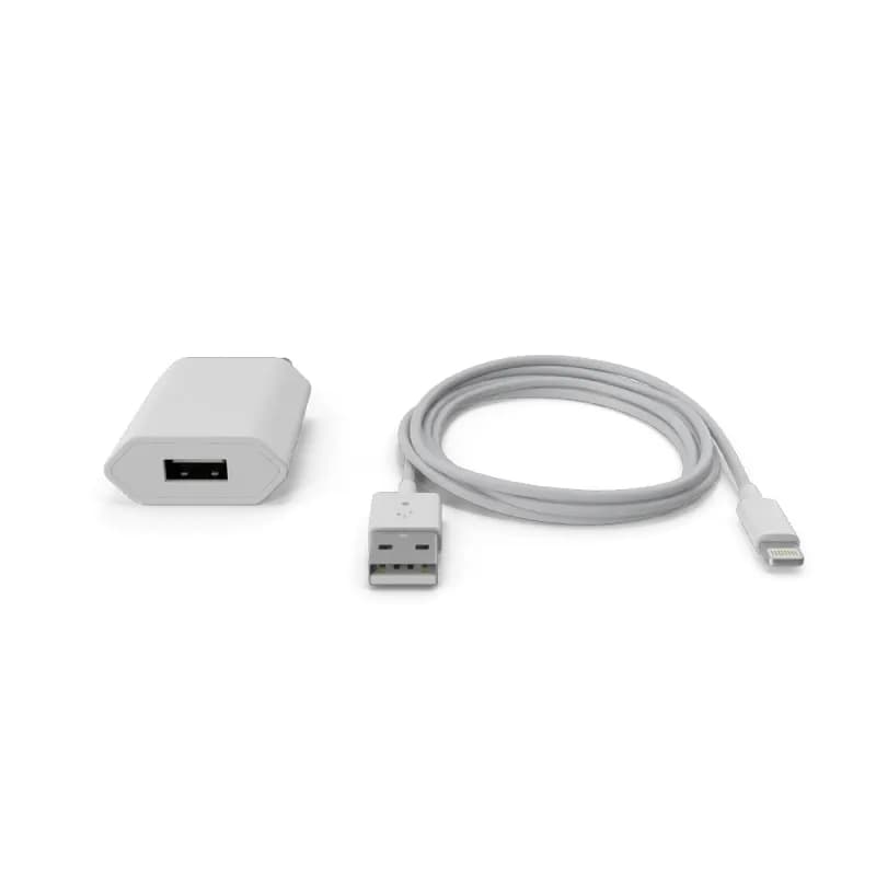 Apple iPhone Charger